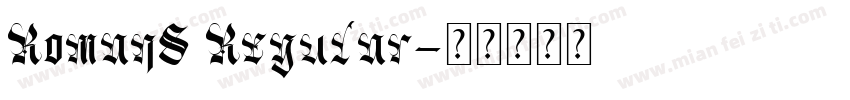 RomanS Regular字体转换